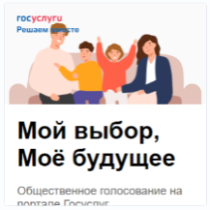 Оценка услуги социальной газификации в России (gosuslugi.ru)